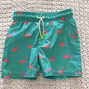 18 month - toddler boy swim trunks - cat & jack